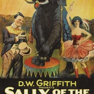 Sally of the Sawdust