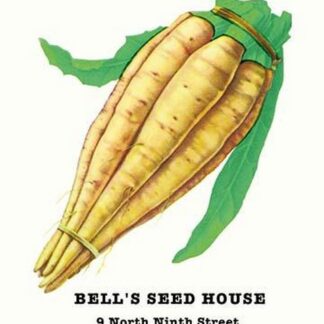 Salsify: Mammoth Sandwich Island