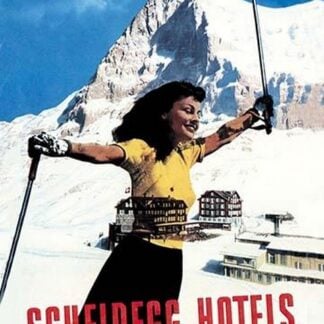 Scheidegg Hotels by werner muhlemann