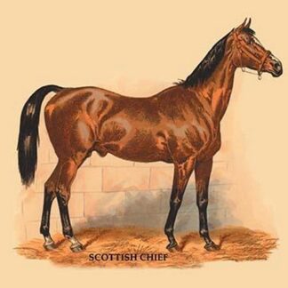 Scottish Chief by L. Penicaut