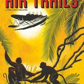 Seaplane Over the Tropics