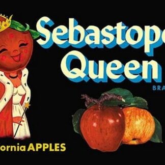 Sebastopol Queen Brand Apples