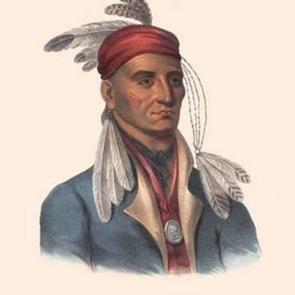 Shin-Ga-Ba-W'ossin (A Chippeway Chief) by Mckenney & Hall