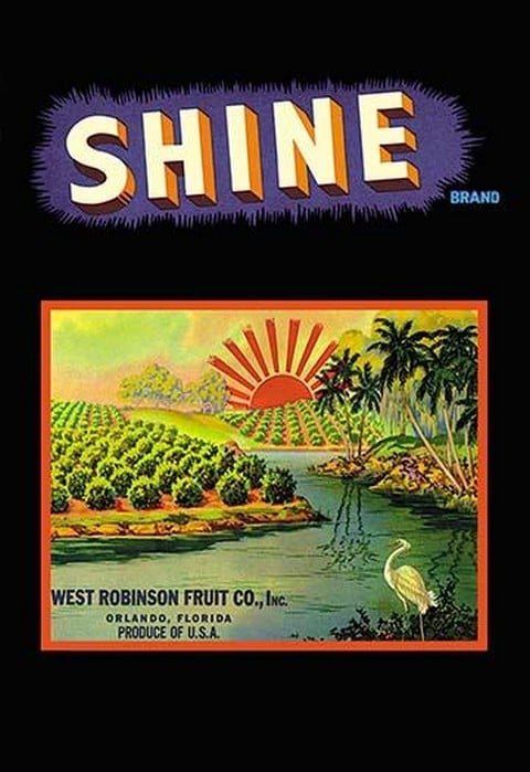 Shine Brand Fruit