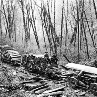 Shingle Bolt by Darius Kinsey