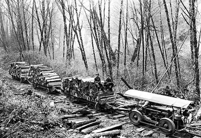 Shingle Bolt by Darius Kinsey