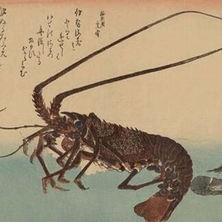 Shrimp and lobster (Ise ebi to shiba ebi) by Utagawa Hiroshige