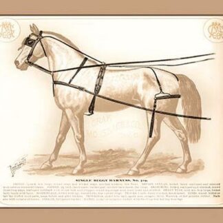 Single Buggy Harness