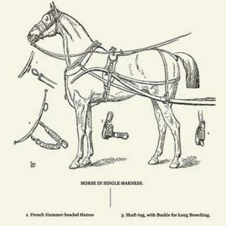 Single Harness Horse by Samuel Sidney