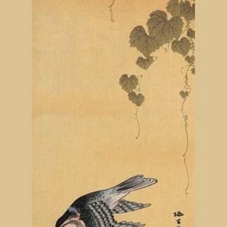 Small bird and grapes