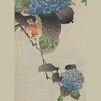 Small bird and hydrangea