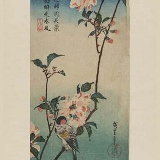 Small bird on a branch of Kaidozakura (Kaido ni shokin) by Utagawa Hiroshige