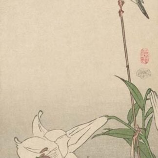 Small bird on lily plant. by Baison