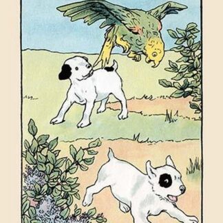 Snip and Snap and Polly Play by Julia Dyar Hardy