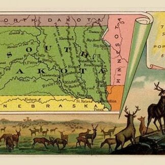 South Dakota State Map by Arbuckle Brothers
