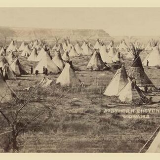 Southern Cheyenne Wigwams