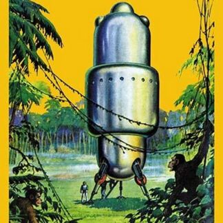 Spaceship in the Jungle