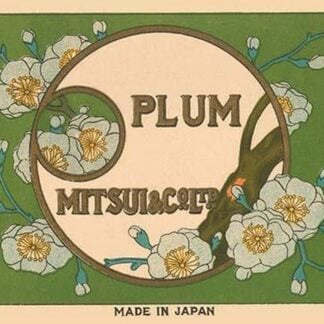 Special Selection Plum by Matsui