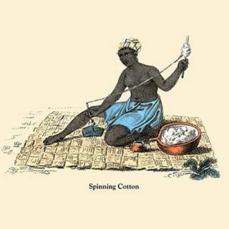 Spinning Cotton