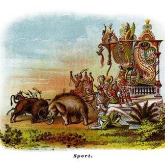 Sport - Mardi Gras Parade Float Design