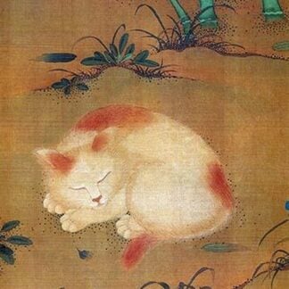 Spring Play in Tang Garden