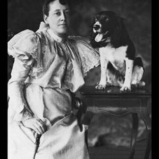 Springer Spaniel and Woman