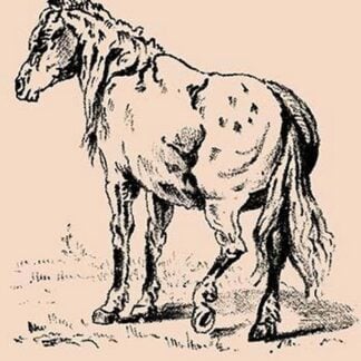 St. Julian - Where is Hickcock? by American Puzzle Co.