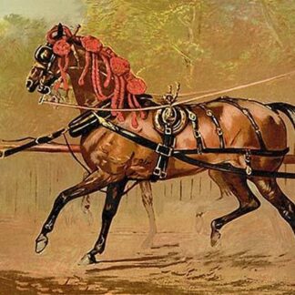 State Carriage Horse by Samuel Sidney