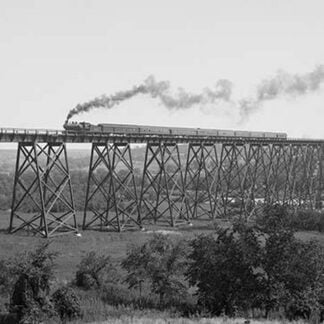 Steam Train passes over Valley Trestle Bridge