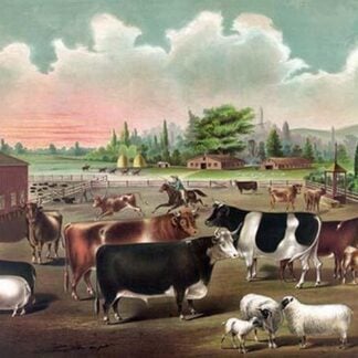 Stolzfus Brothers Consolidated Butchers by Compton Litho Co.