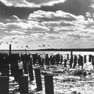 Stratocumulus following cold front passage by Don Whelpley