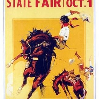 Strawberry Roan State Fair - Cowgirl