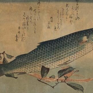 Striped mullet by Utagawa Hiroshige