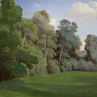 Study of Trees at Mortefontaine by Theodore Caruelle d'Aligny