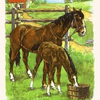 Such a Thirst Colt by Bird & Haumann