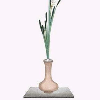 Suisen 'Bird's eye narcissus' in long vase by Josiah Conder #2