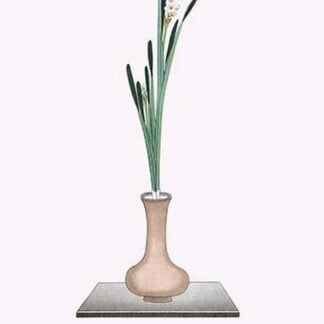 Suisen 'Bird's eye narcissus' in long vase by Josiah Conder