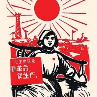 Sunny Rural Work by Chinese Government