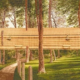 Surreal Casket in the Woods