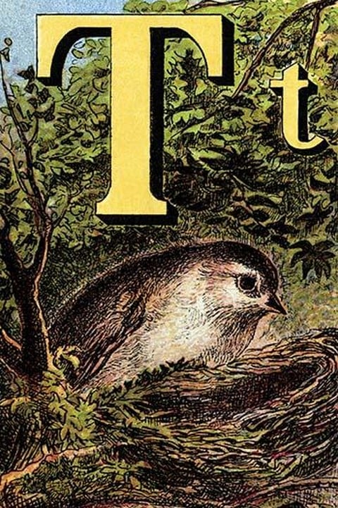 T for the Tomtit building its nest by Edmund Evans