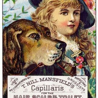 T. Hill Mansfield's Capillaris