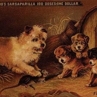 Take Hood's Sarsaparilla