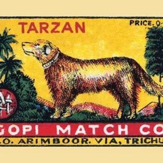 Tarzan