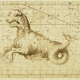 Taurus by Sir John Flamsteed