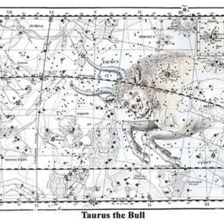 Taurus the Bull by Alexander Jamieson