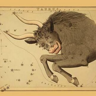Taurus the Bull by Jehosaphat Aspin