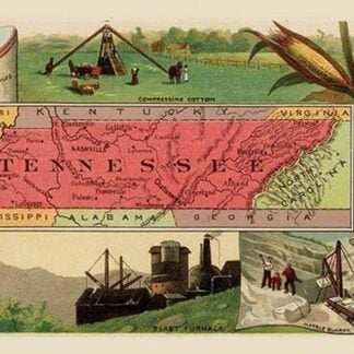 Tennessee State Map by Arbuckle Brothers