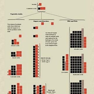 Ternary or Non-Nitrogenized Principles of Food by Edward L. Youmans