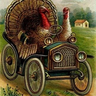 Thanksgiving Greetings: A Quick Getaway
