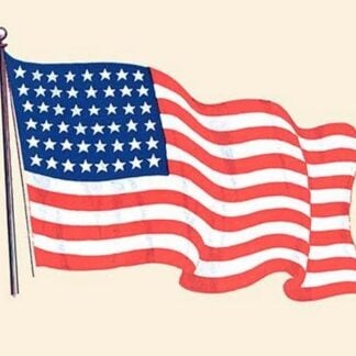 The American Flag
